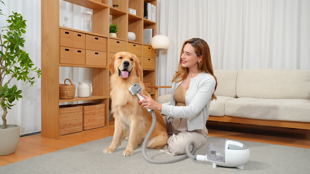 Are Pet Grooming Tools Worth It? The Truth About Pet Grooming Vacuums