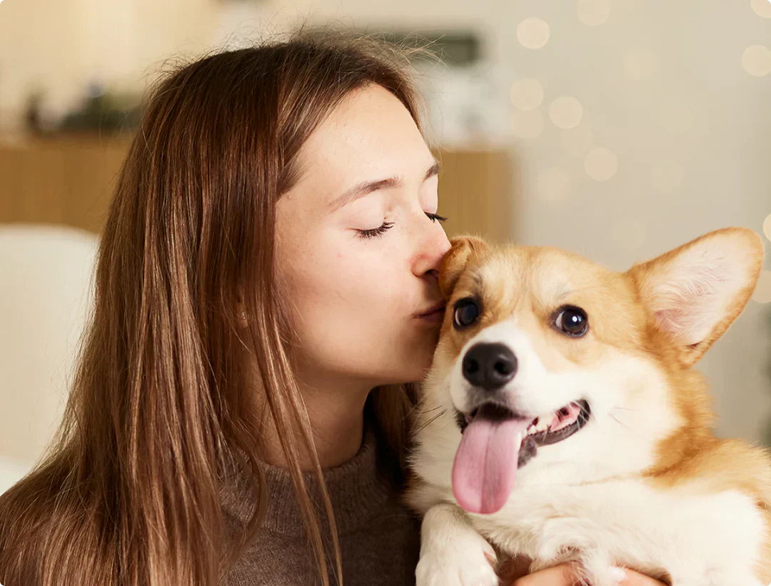 What Is the Best Pet Grooming Vacuum for Hardwood Floor?