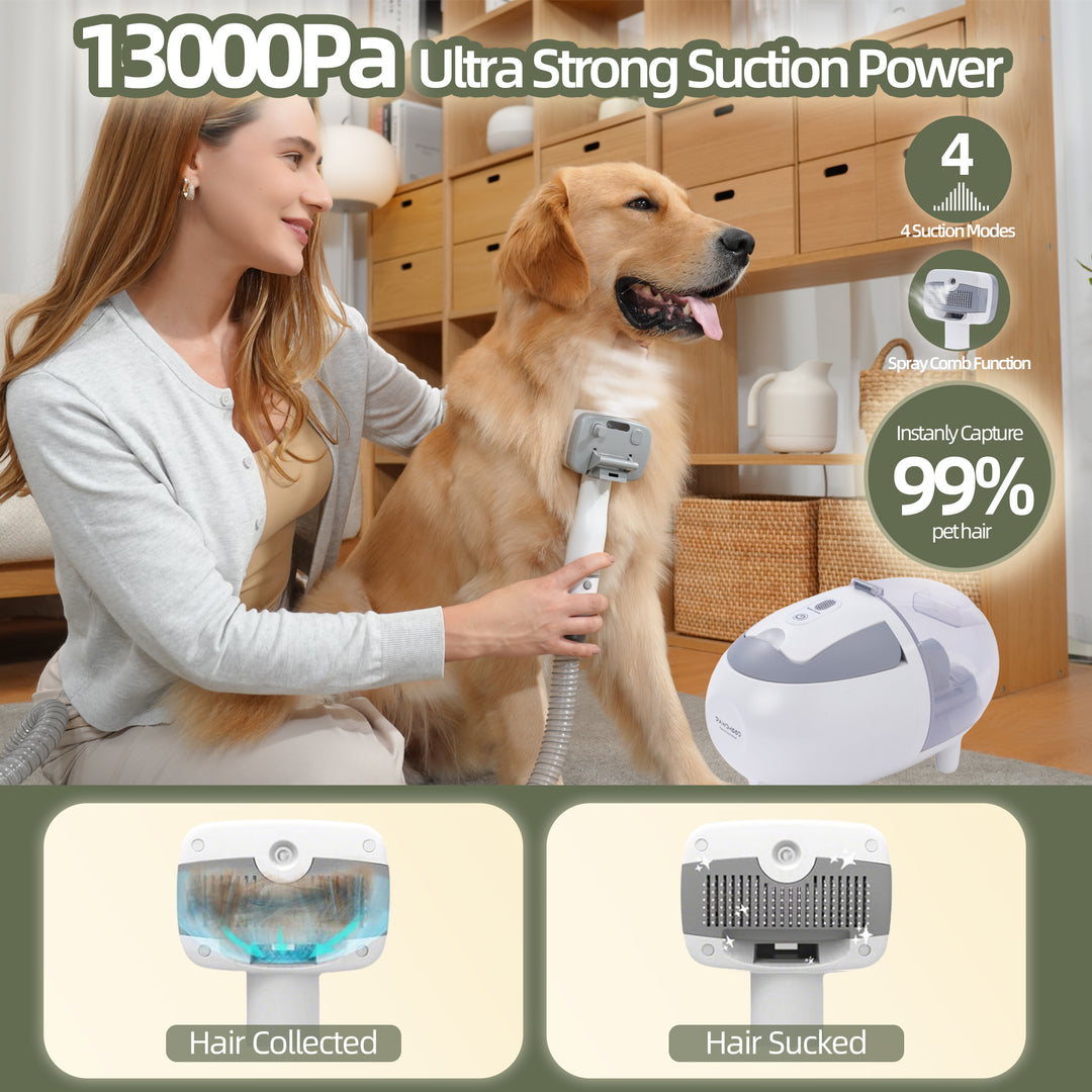 Aspirateur de toilettage pour animaux 6 en 1