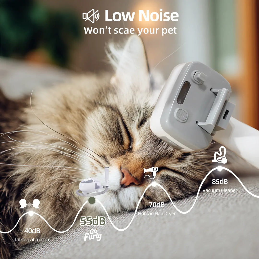 Aspirateur de toilettage pour animaux 6 en 1