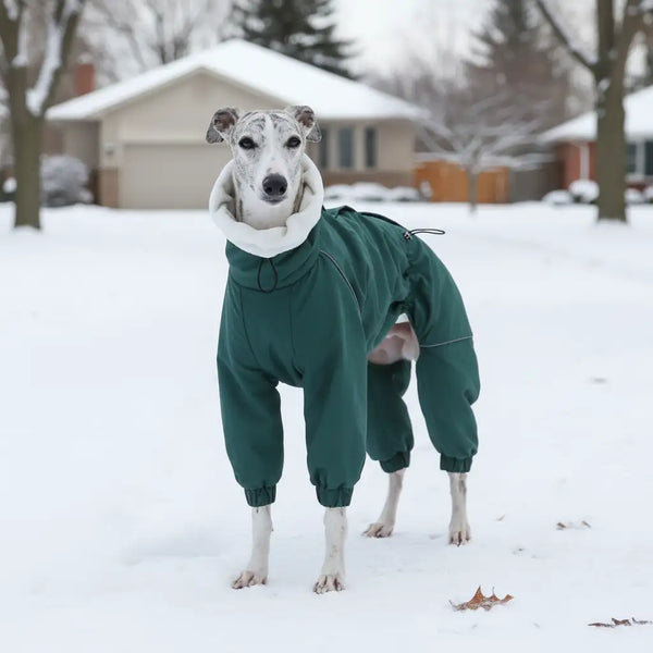 GoFurly Arctic Shield Parka - Waterproof 4-Leg Winter Coat for Large Dogs