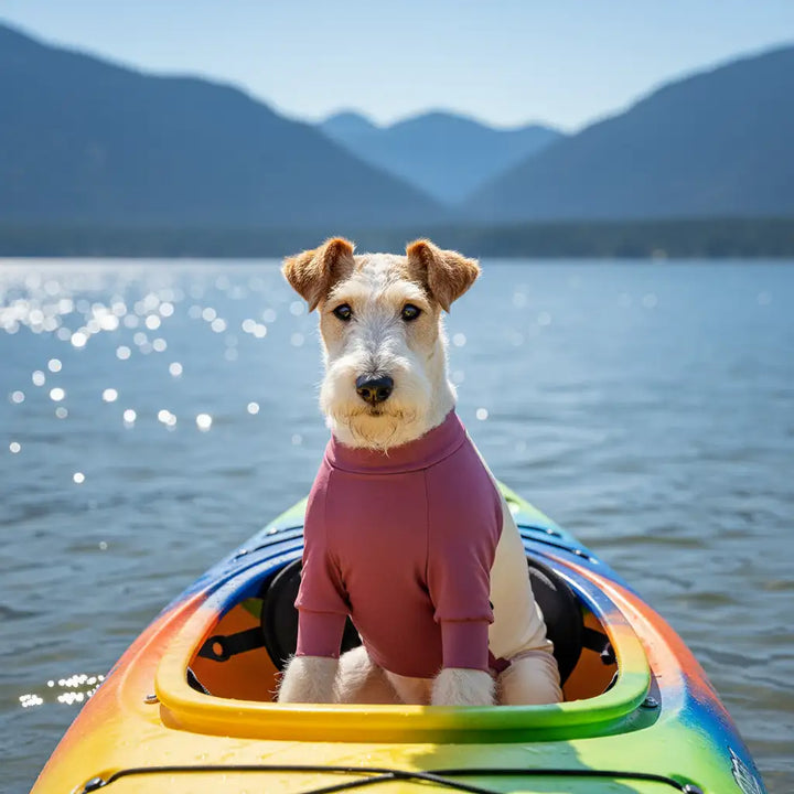 GoFurly Dog Cooling Bodysuit UPF50+ Sun Protection