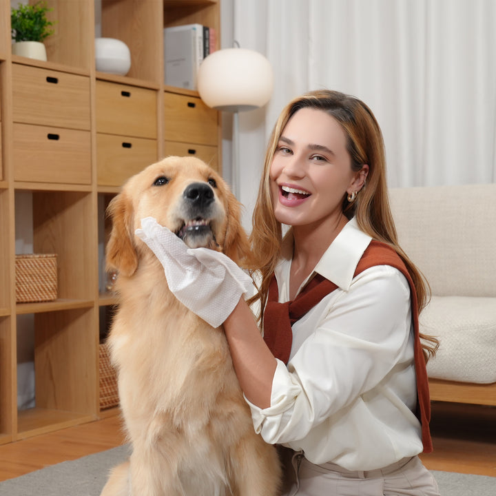 Disposable Pet Grooming Glove Wipes