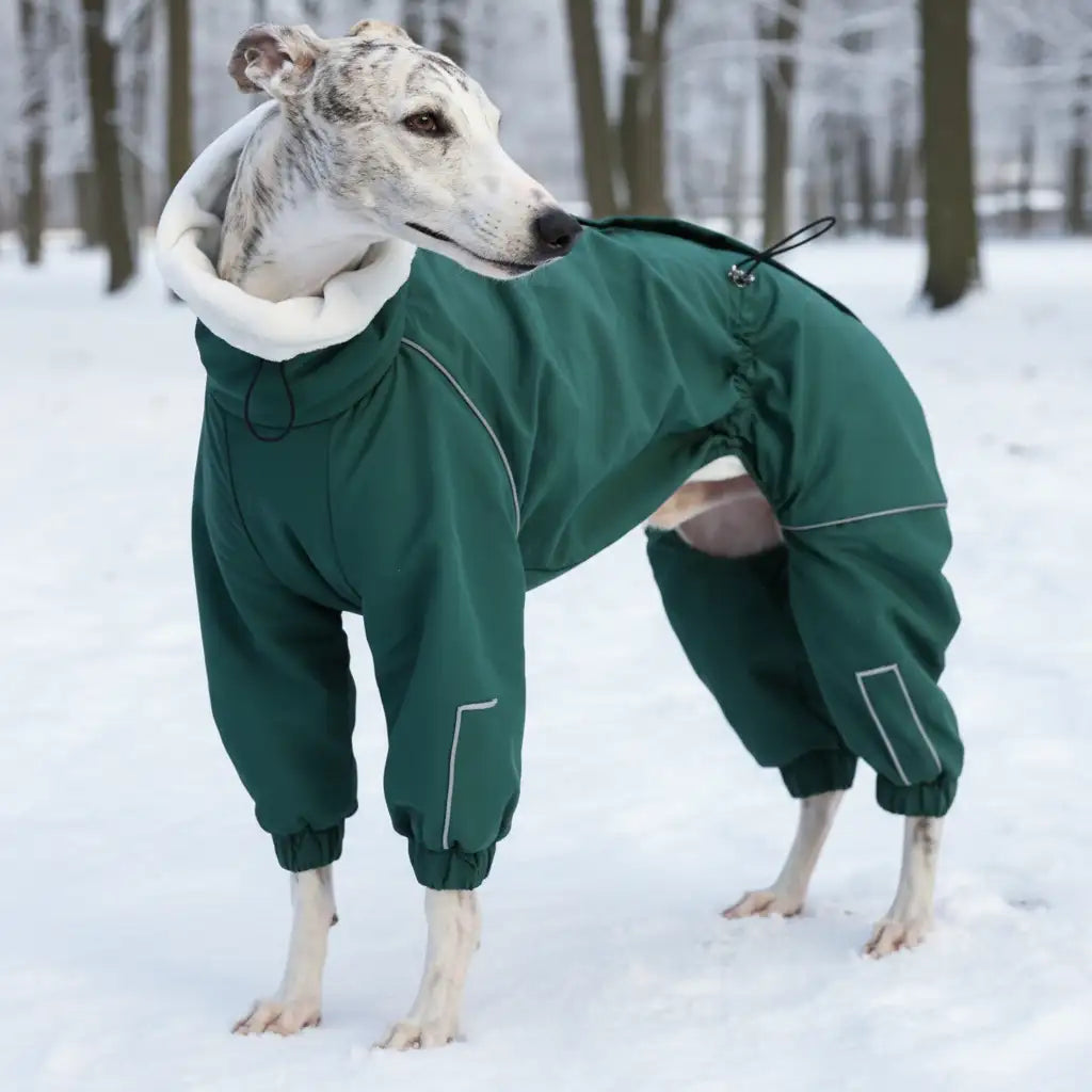 GoFurly Arctic Shield Parka - Waterproof 4-Leg Winter Coat for Large Dogs