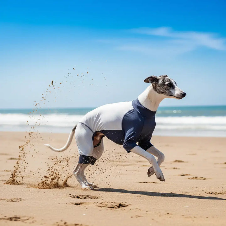 GoFurly Dog Cooling Bodysuit UPF50+ Sun Protection