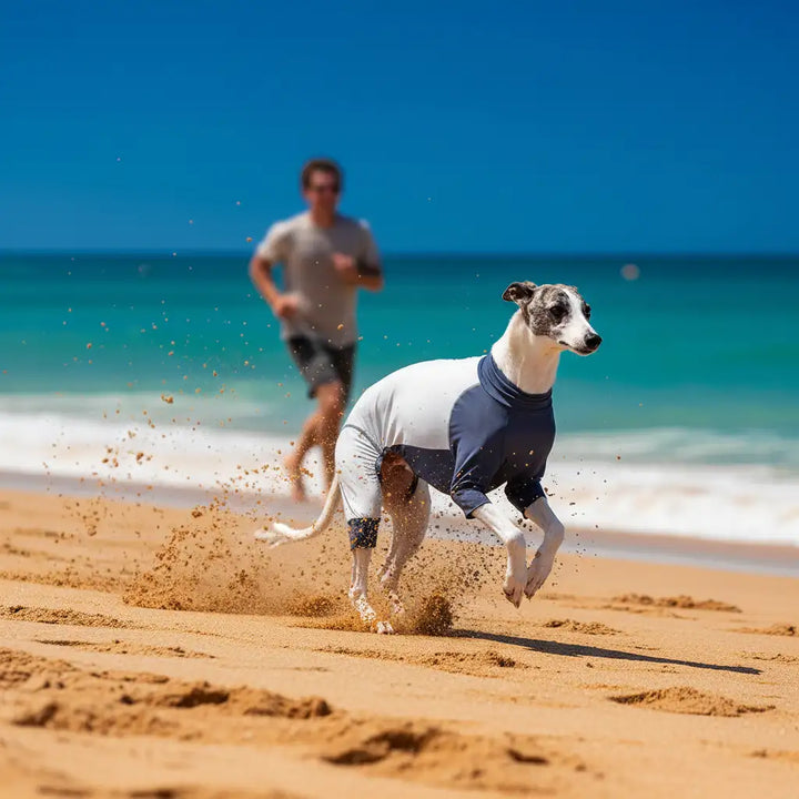 GoFurly Dog Cooling Bodysuit UPF50+ Sun Protection