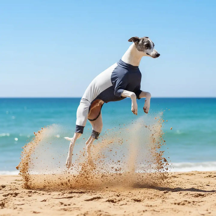 GoFurly Dog Cooling Bodysuit UPF50+ Sun Protection