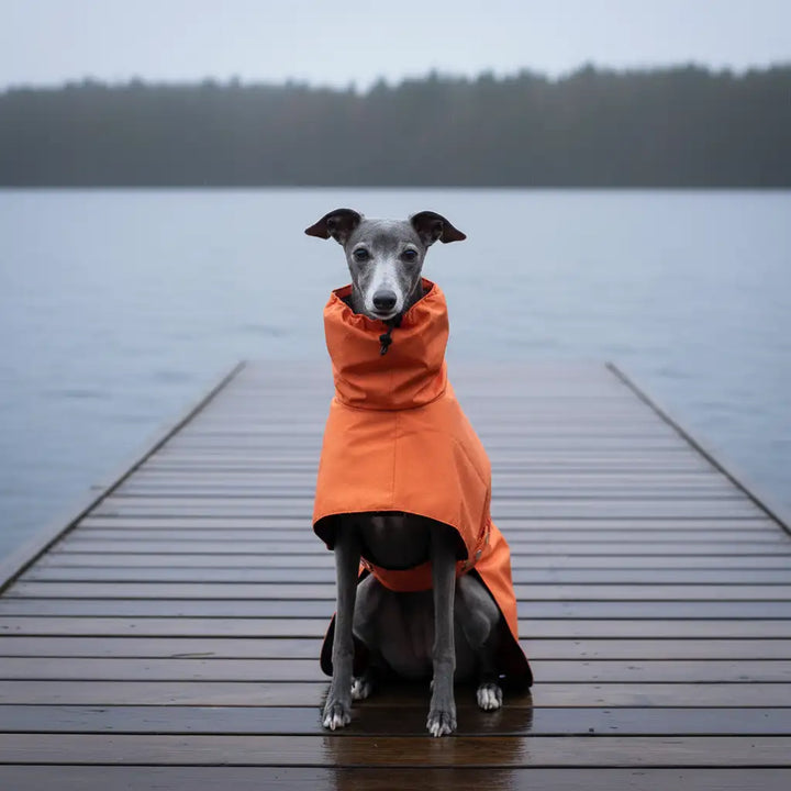 GoFurly Dog Raincoat Waterproof Breathable