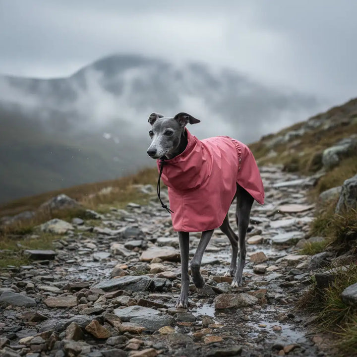 GoFurly Dog Raincoat Waterproof Breathable