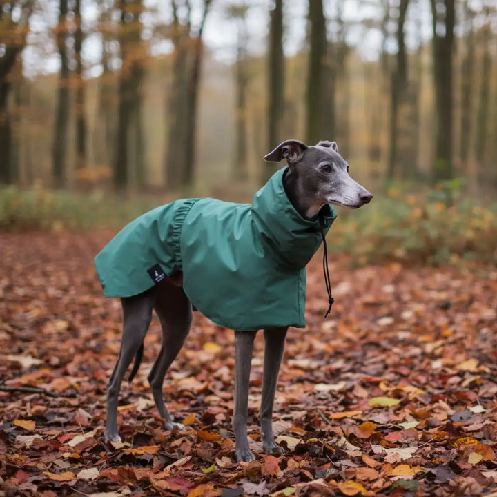 GoFurly Dog Raincoat Waterproof Breathable