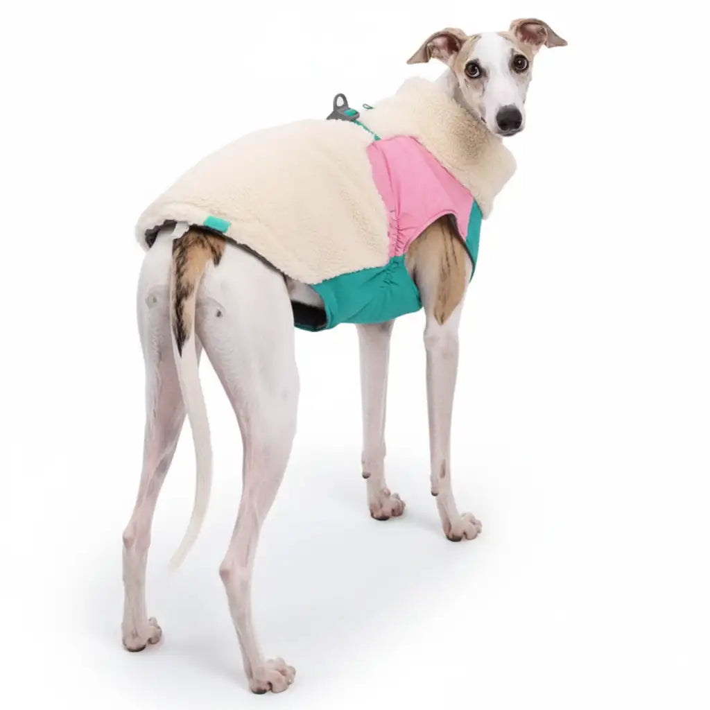 Warm Zipper Dog Coat Winter Jacket for Medium to Large Dogs