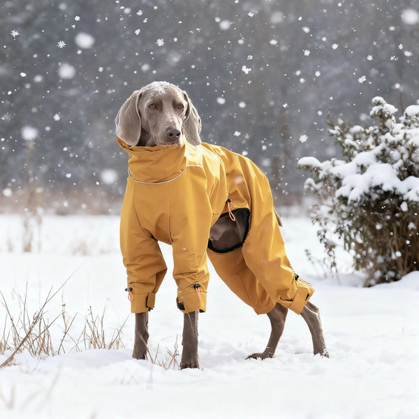 GoFurly Arctic Shield Parka - Waterproof Dog Winter Coat -15°C Rated