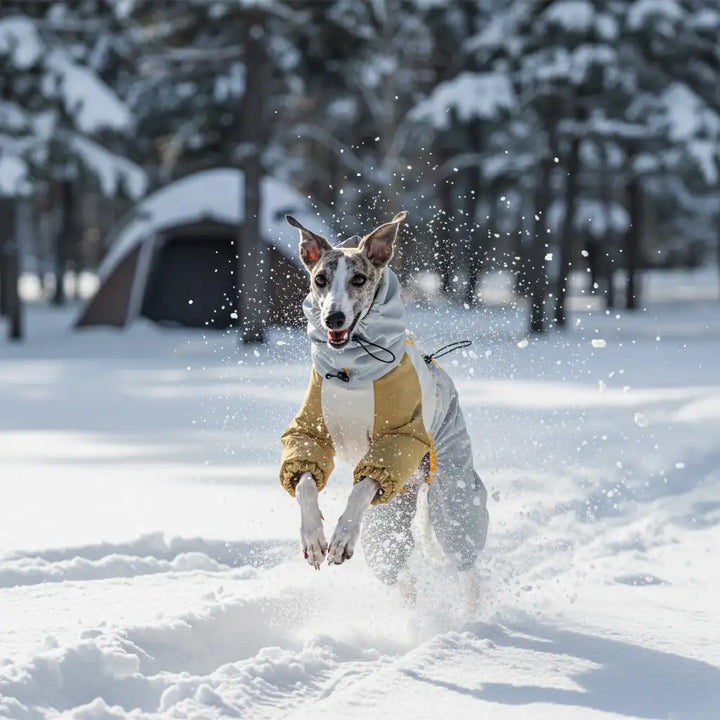 GoFurly Premium Winter Dog Parka | Cold Weather Protection