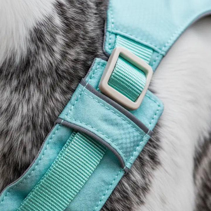 GoFurly Dog Harness and Leash Set No-Pull Design