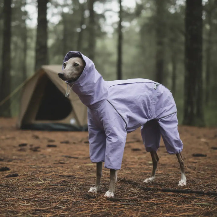 GoFurly Dog Raincoat Waterproof Adjustable High-Neck