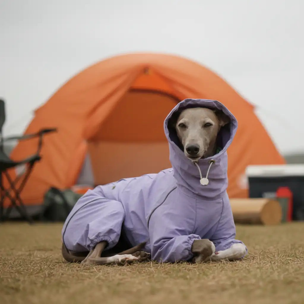GoFurly Dog Raincoat Waterproof Adjustable High-Neck