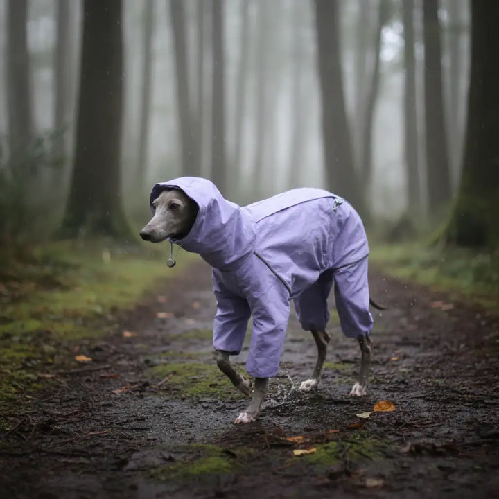 GoFurly Dog Raincoat Waterproof Adjustable High-Neck