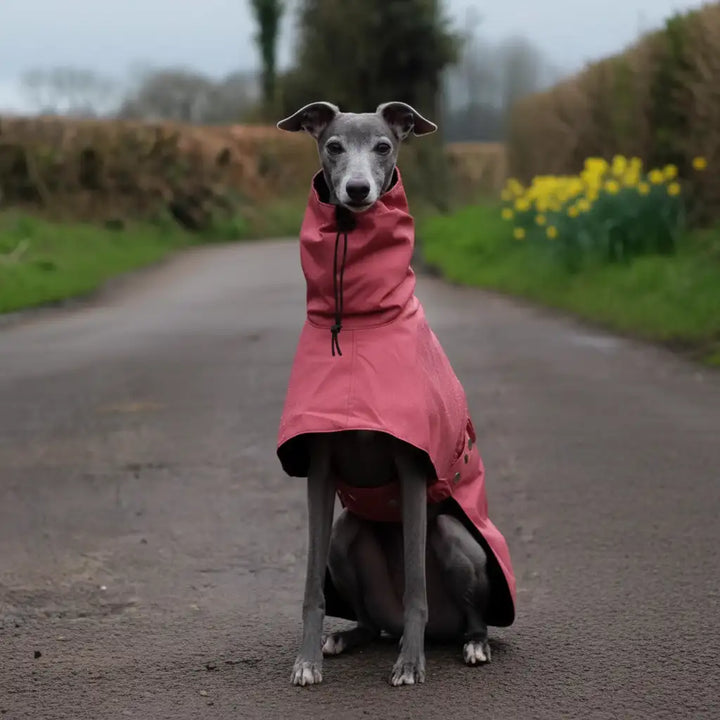 GoFurly Dog Raincoat Waterproof Breathable