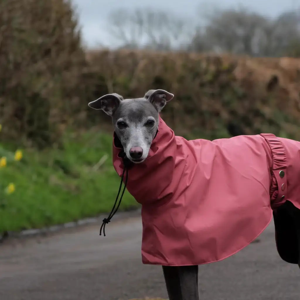 GoFurly Dog Raincoat Waterproof Breathable