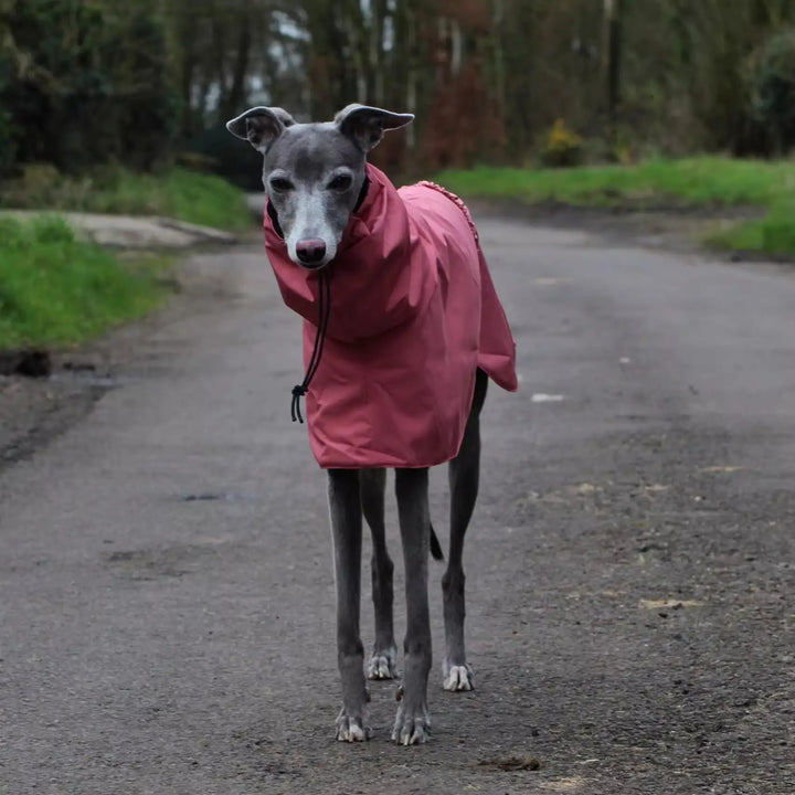 GoFurly Dog Raincoat Waterproof Breathable